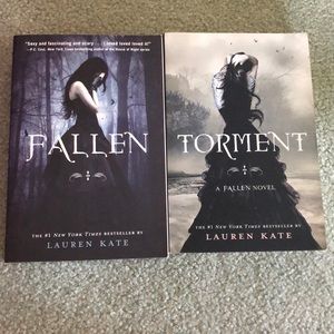 The Fallen Series